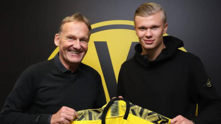 数据梗图替 数据梗图替